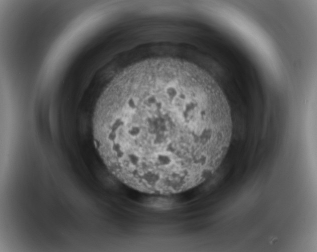 X0000085310765200703302022