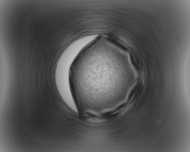 X0000085310766200703302022