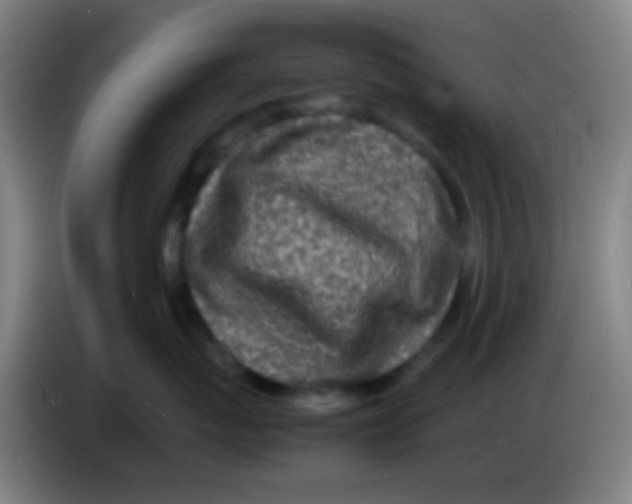 X0000085310767200703302022