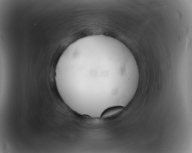 X0000085310768200703302022