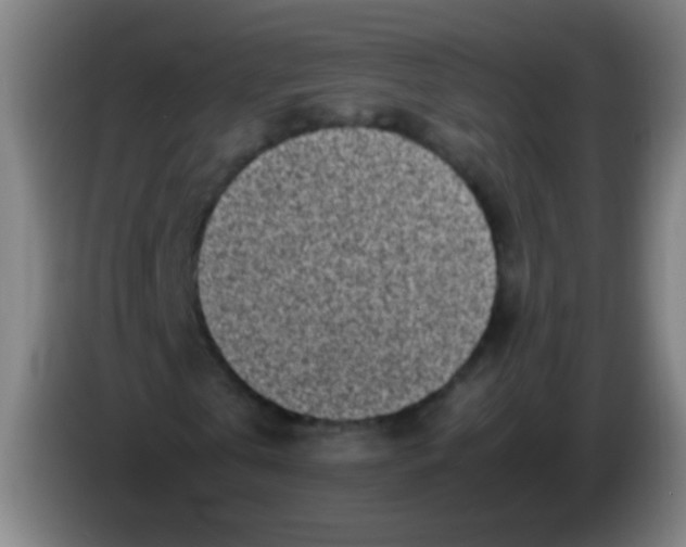 X0000085310769200703302022