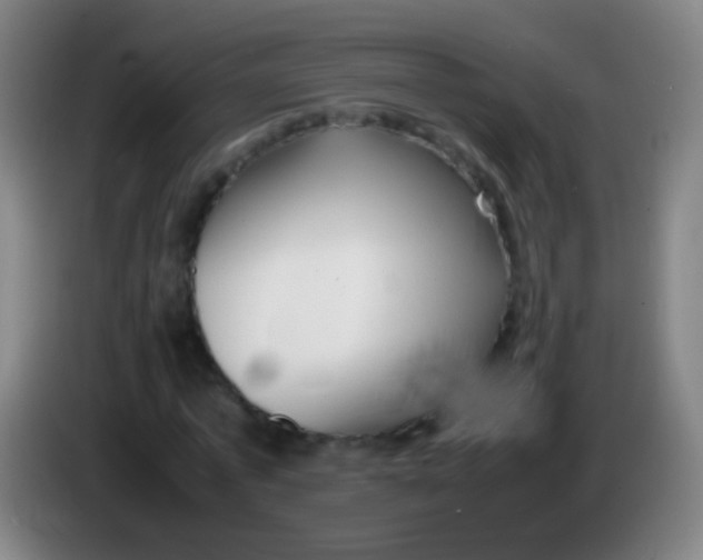 X0000085310773200703302022