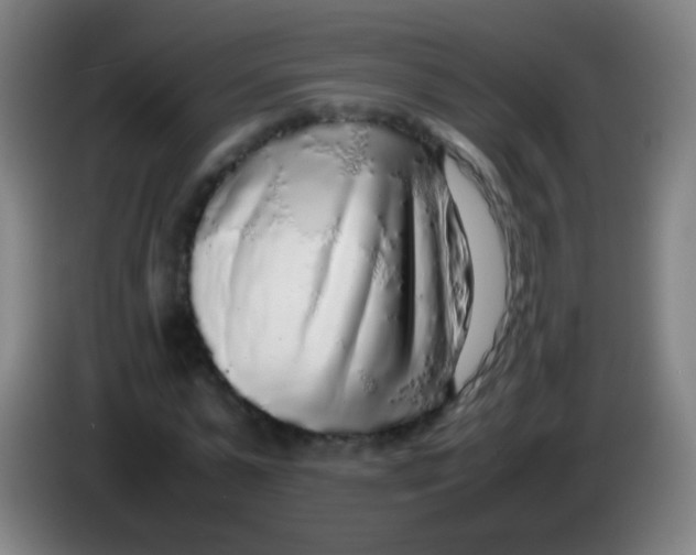 X0000085310775200703302022