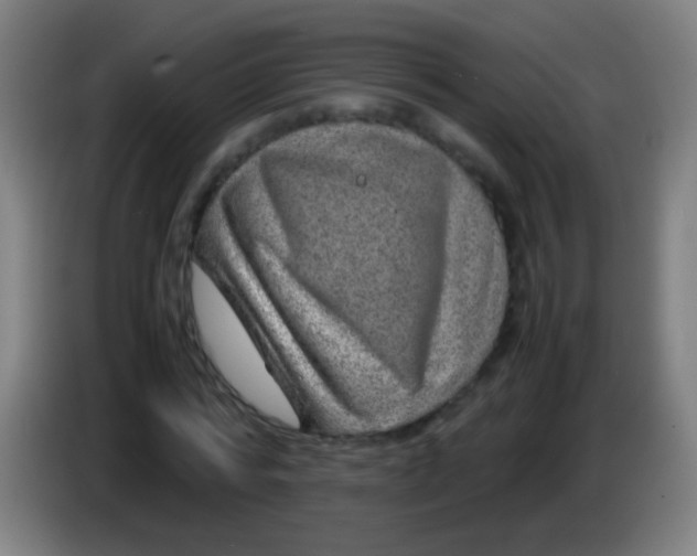 X0000085310776200703302022