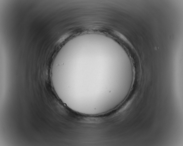 X0000085310777200703302022