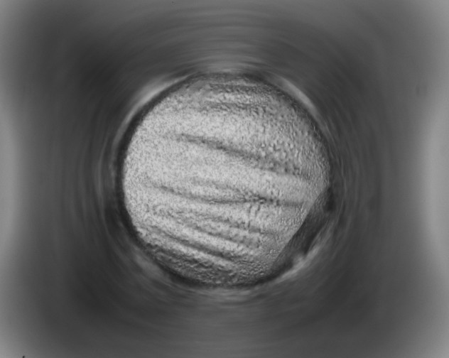 X0000085310779200703302022