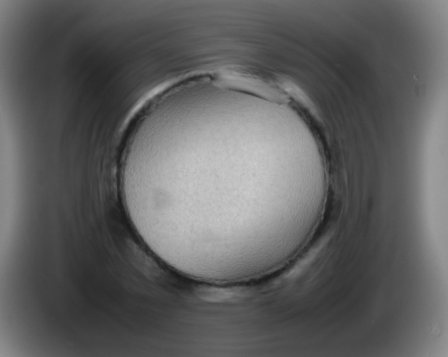 X0000085310781200703302022