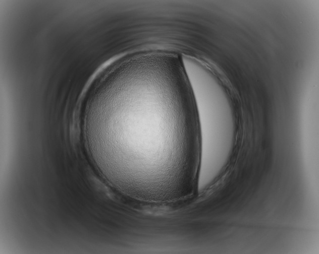 X0000085310784200703302022