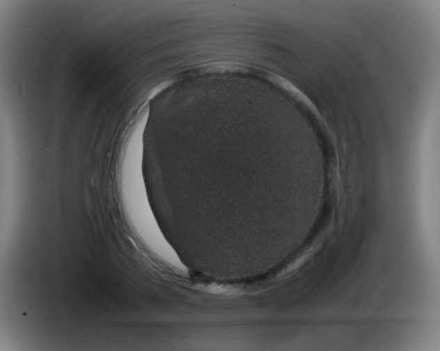 X0000085310785200703302022