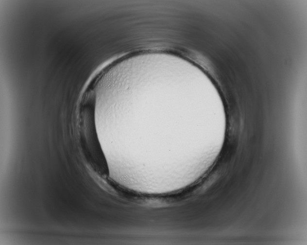 X0000085310787200703302022