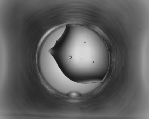 X0000085310788200703302021