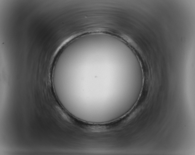 X0000085310789200703302021