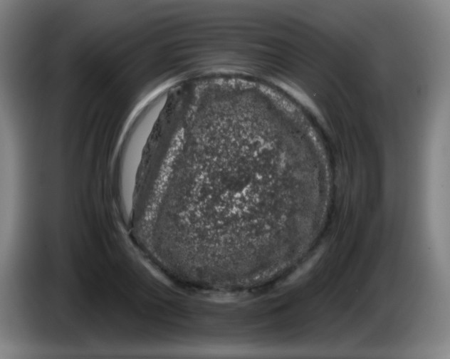 X0000085310790200703302021