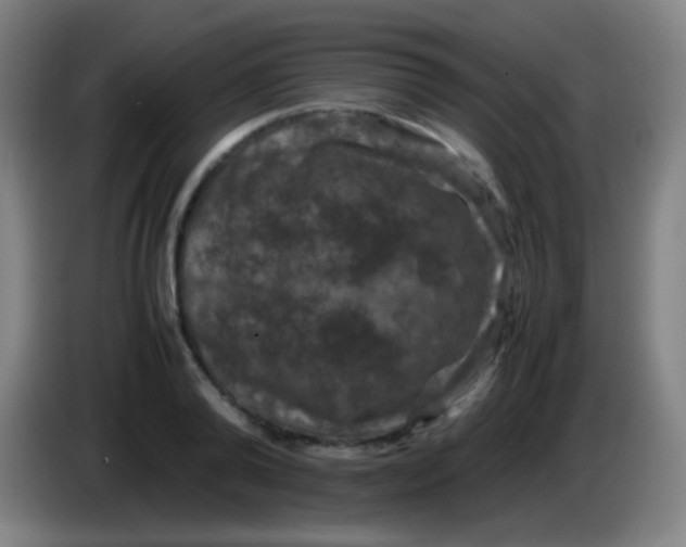 X0000085310792200703302021