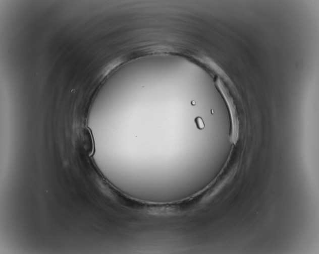 X0000085310793200703302021