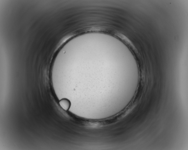 X0000085310794200703302021