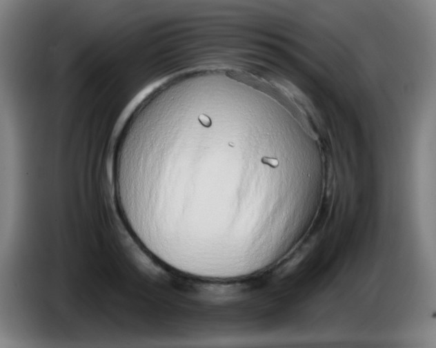 X0000085310796200703302021