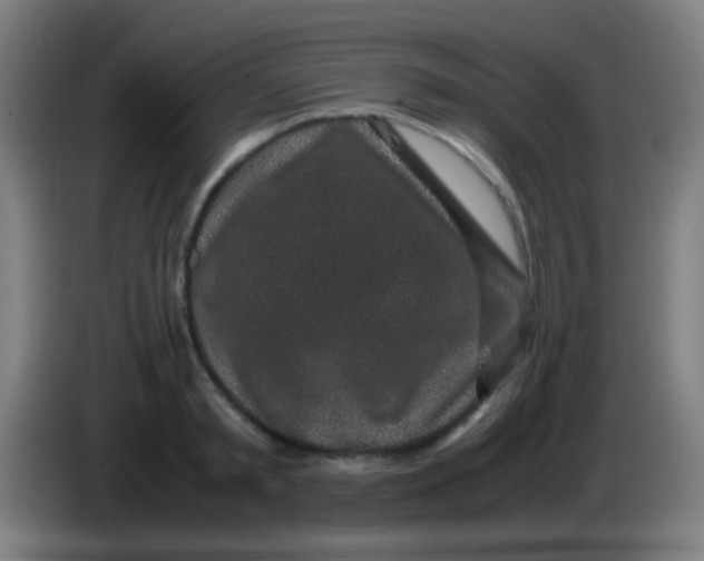 X0000085310797200703302021