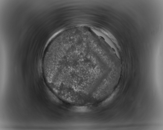 X0000085310798200703302021