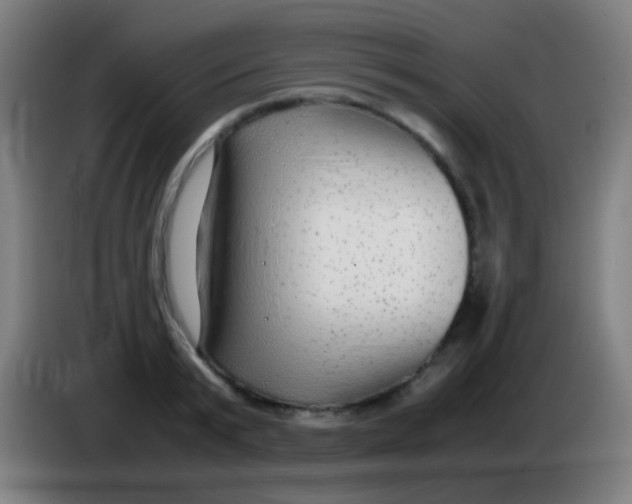 X0000085310799200703302021