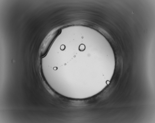 X0000085310800200703302021