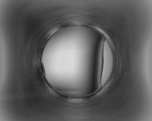 X0000085310801200703302021