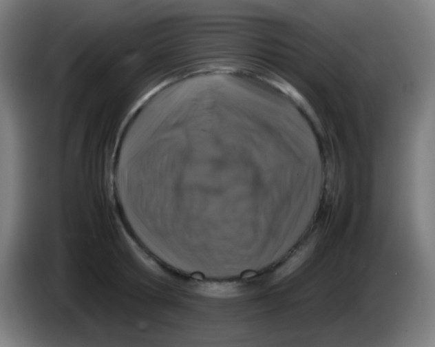 X0000085310802200703302021