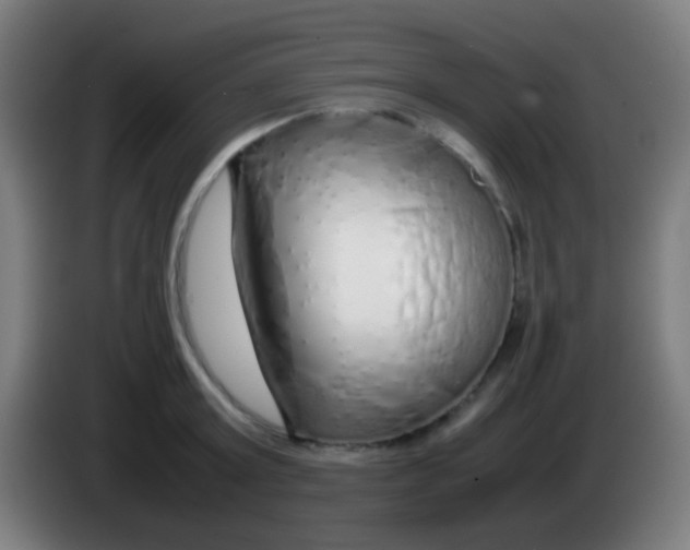 X0000085310803200703302021