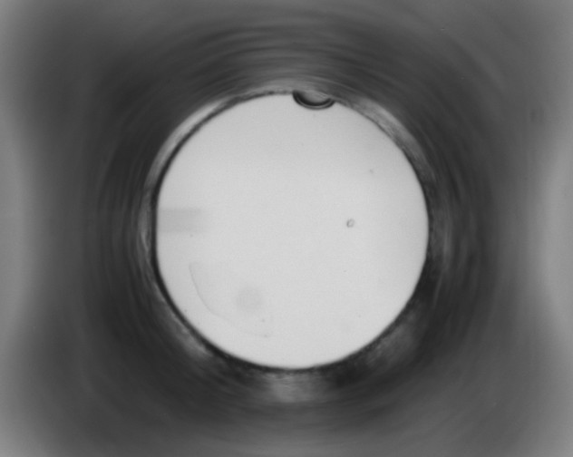 X0000085310804200703302021