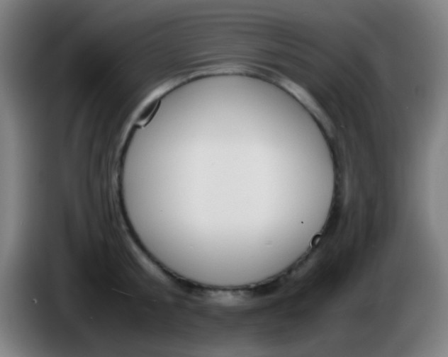 X0000085310805200703302021