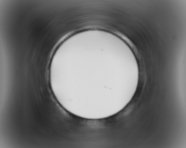 X0000085310807200703302021