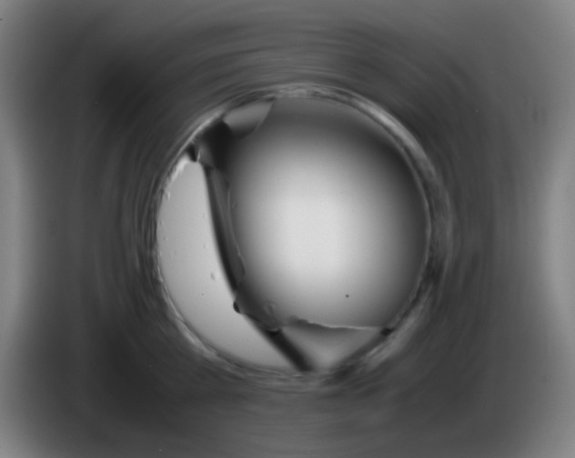 X0000085310809200703302021