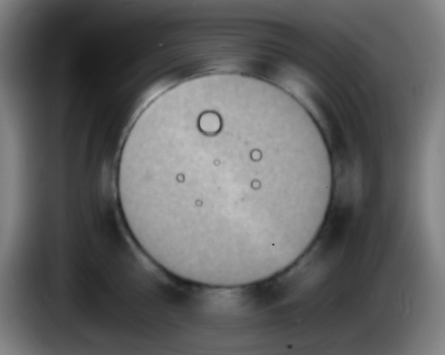 X0000085310810200703302021