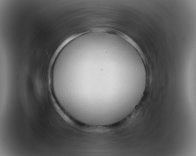 X0000085310811200703302021