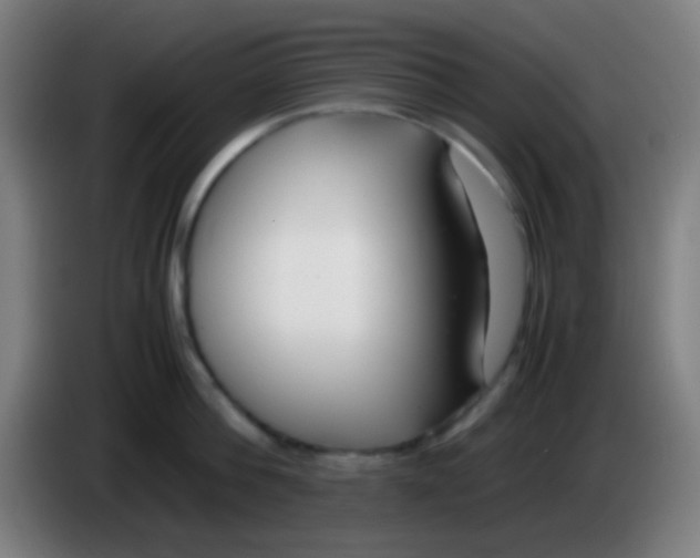 X0000085310812200703302021