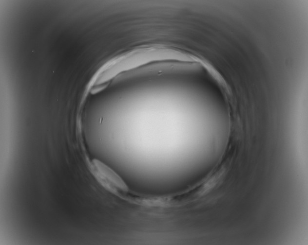 X0000085310813200703302021