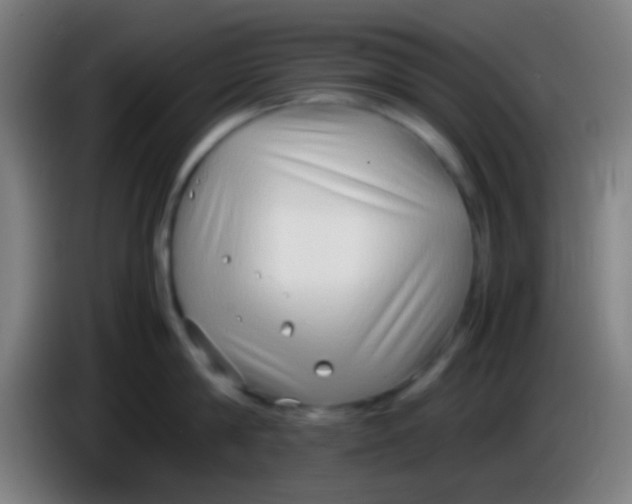 X0000085310814200703302021