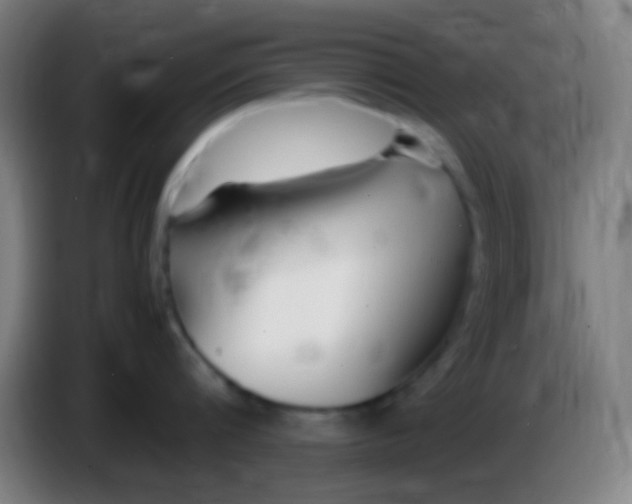 X0000085310816200703302021