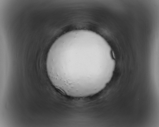 X0000085310817200703302020