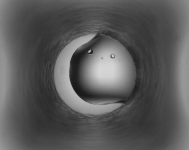 X0000085310818200703302020