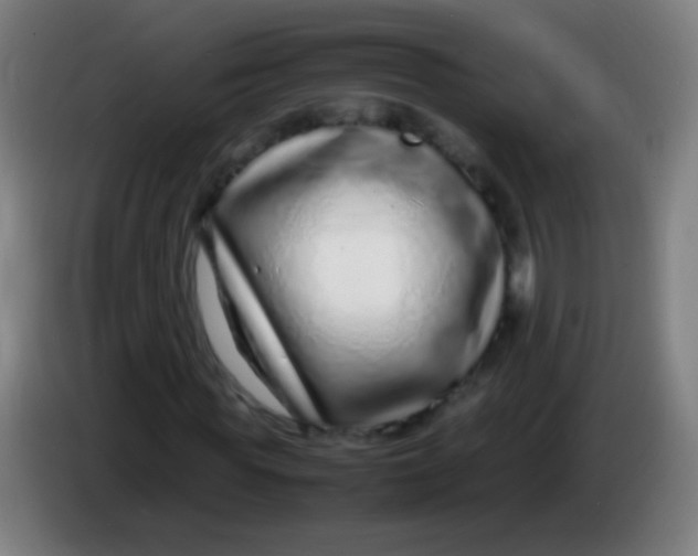 X0000085310819200703302020