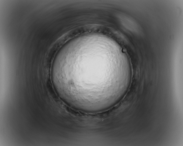 X0000085310821200703302020