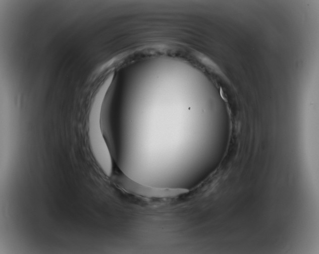 X0000085310822200703302020