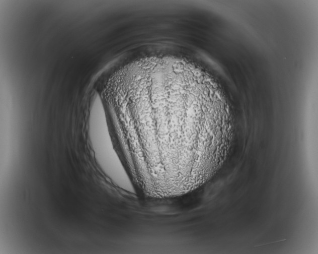 X0000085310823200703302020