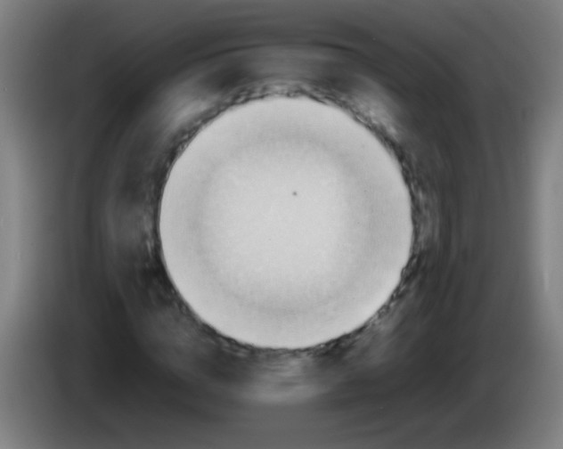 X0000085310824200703302021