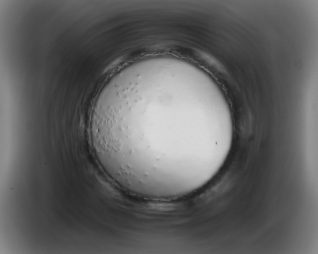 X0000085310825200703302021