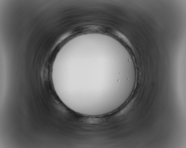 X0000085310827200703302021