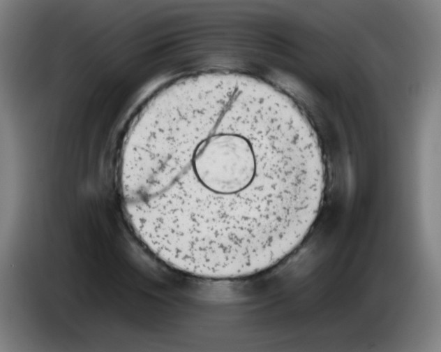 X0000085310828200703302021