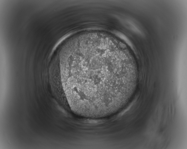 X0000085310829200703302021