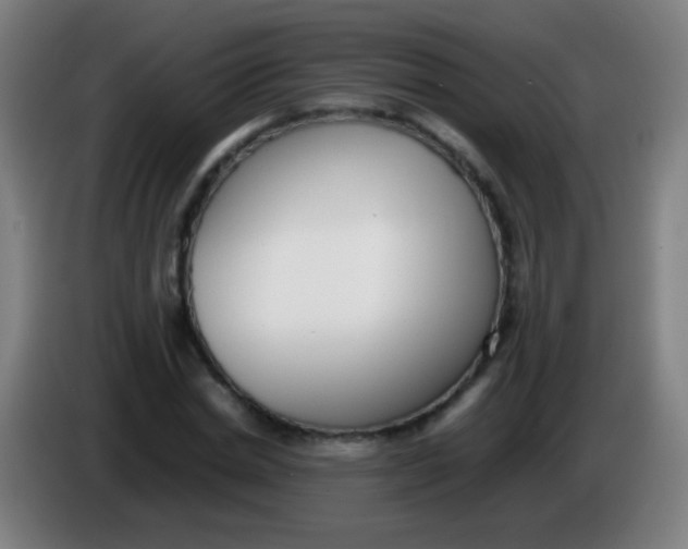 X0000085310830200703302021